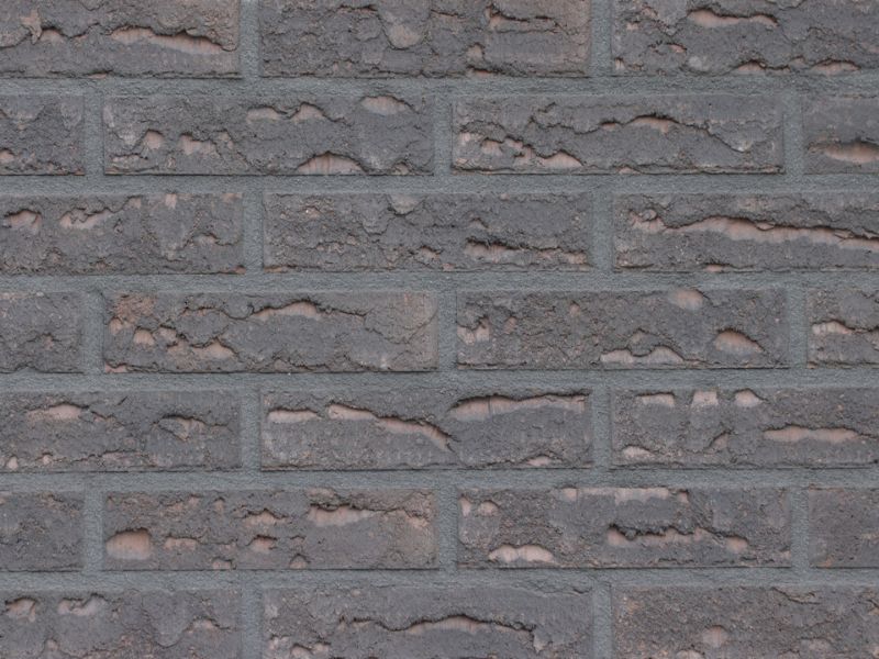 Licata Fossil Urban Range clay brick slip
