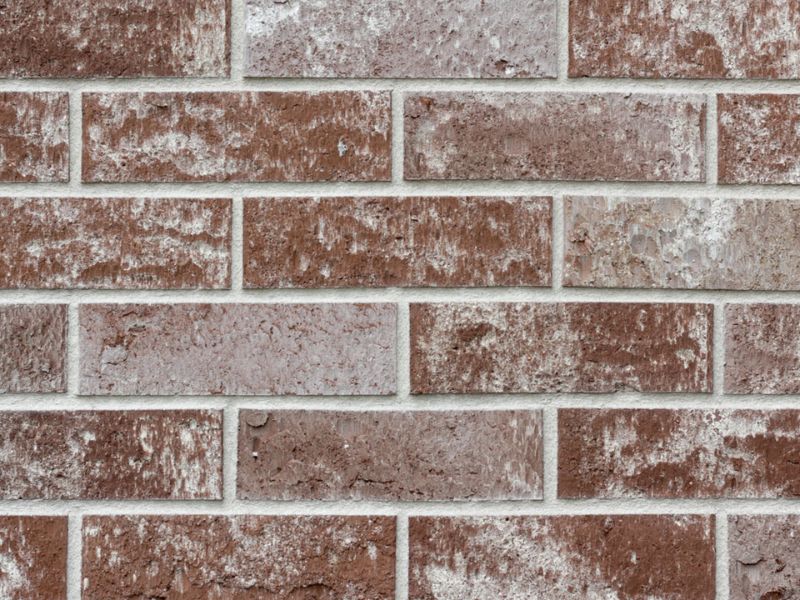 Licata Powdered Bronze Urban Range clay brick slip